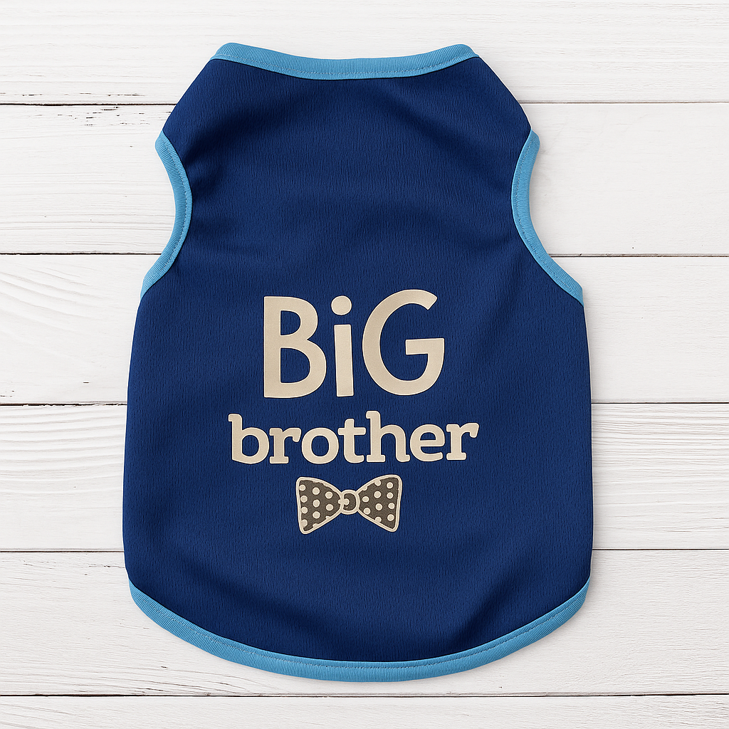 Big Brother Blue