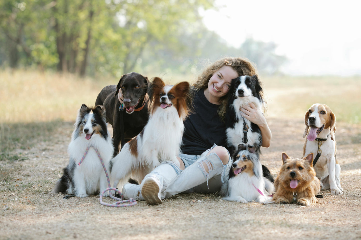 Girl With Dog