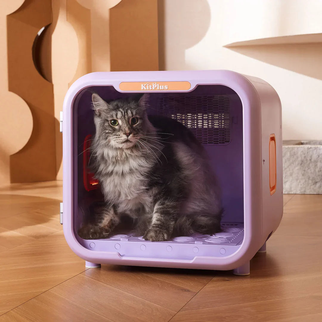 Tear stain removers and gentle pet dryers for grooming care