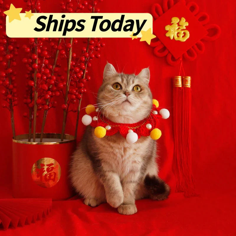 Cute and cozy clothing for dogs and cats