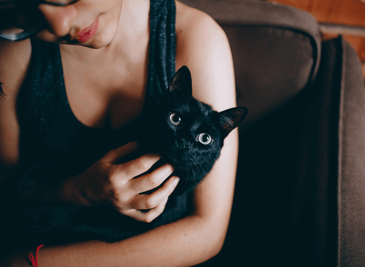 Girl Hold A Cat