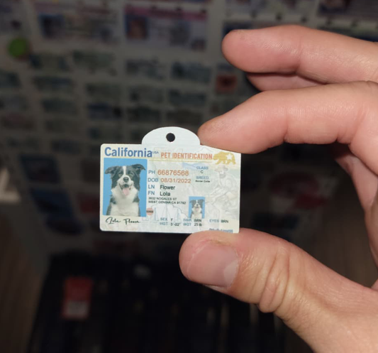 Custom dog tag, Pet License Tag