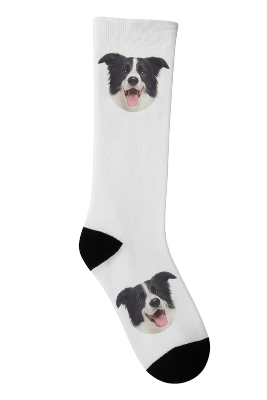Colorful Custom Pet Socks featuring your cat’s photo